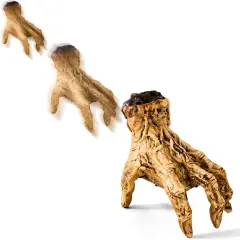 Halloween Animatronics Crawling Zombie Hand Decorations