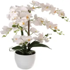 25" Luxurious Phalaenopsis Orchid - Elegant Silk Flower for Home Decor Accents, Floral Home by Artificial Flowers