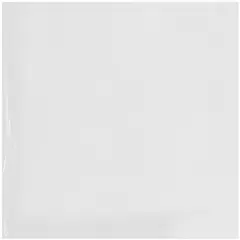 Plymor 10" x 10", 4 Mil Flat Open Clear Plastic Poly Bags