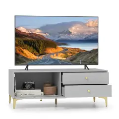 Costway Modern TV Stand for 55" TVs with Drop Down Door Cabinet 2 Storage Drawers Gray