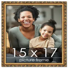 15x17 Museum-Quality Picture Frame with UV-Resistant Acrylic & Acid-Free Backing, Available in 4 Finishes - Gold, Silver, Bronze, and Black