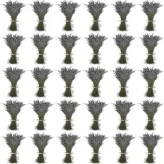 Natural Dried Lavender Flower Bundle Grosso Bulk Bunches | 3000 Stems, 23 inch Extra Long, 8 lb | Home Decoration, Fragrance, Bouquet Weddin