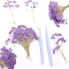 Purple 70 Branches Pressed Flowers Bulk Dried Flower for Resin , Dried Babys Breath Flower with 2 Tweezer