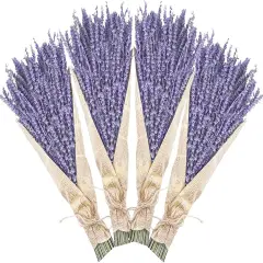 Dried Lavender Bundles, Uieke Natural Dried Lavender Flowers 280-300 Stems 16&ldquo; for Home Weeding Decoration Flower Arrangements Photo Props Home Fragrance 4 Bundles