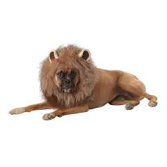 King of the Jungle Lion Dog Costume