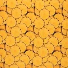 Mook Fabrics Fruit-Vegetables Cotton Fabric [45 in. Wide] - By The Yard Pinapple Slices