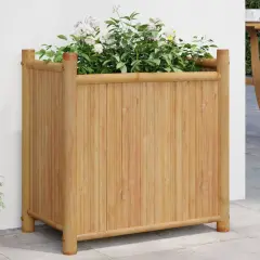 vidaXL Planter 19.7x11.8x19.7 Bamboo