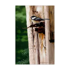 Stupell Industries Bird on Rusty Perch Canvas Wall Art Design by Rod Lawrence