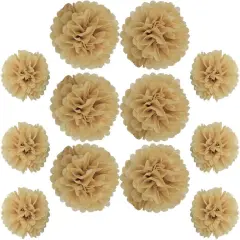12 Pieces Tissue Paper Pompoms 10in and 12in Hanging Tissue Flowers Decorations Colour Paper Flower Ball Paper Flowers Pom Poms for Party Wedding Decoration (ZH/Khaki)