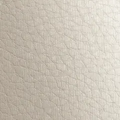 Gmund Leather Coin 12" x 12" 92# Cover Sheets Pack of 50