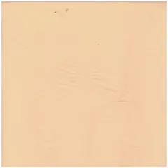 1 Yard Solid Peach knit Fabric, Soft Lightweight Stretch 57/58" Wide for Apparel GOLDEN YELLOW