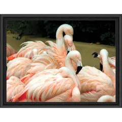 Sunrays Creations Needlearts Flamingos Counted Cross-Stitch Chart Multi