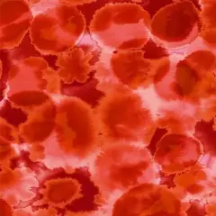 Red Opalescence Cotton Wideback Fabric per yard