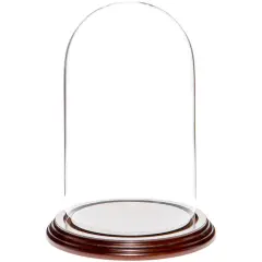 Plymor 4.5" x 8" Glass Display Dome Cloche Dark Mahogany Veneer