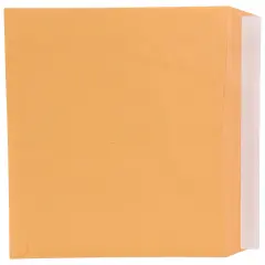 School Smart Kwik-Tak Envelopes, 9 x 12 Inches, 28 lb, Kraft Brown, Box of 100