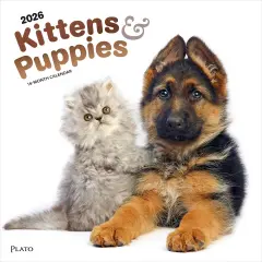 Kittens & Puppies | 2026 12 x 24 Inch (Hanging) Monthly Square Wall Calendar | Foil Stamped Cover
