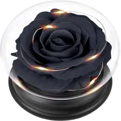 Black Rose Flowers Gifts - (Black)