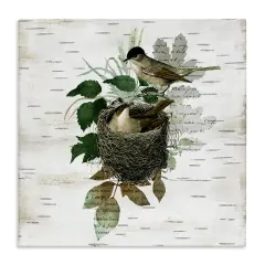 Stupell Industries Birds in Vintage Nest Canvas Design by Susan Arnot