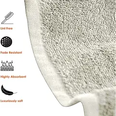 $product['description']['title']}