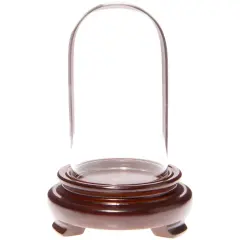 Plymor 1.85" x 3.5" Mini Glass Display Dome Cloche Walnut Wood Veneer