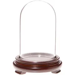 Plymor 3" x 5" Glass Display Dome Cloche Walnut Wood Veneer