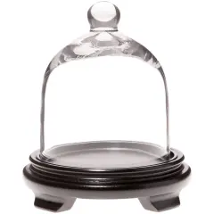 Plymor 5" x 6" Bell Jar Glass Display Dome Cloche Black Wood Veneer
