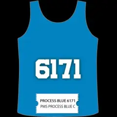 International Coatings Cool Sport Inks 6171 Process Blue C