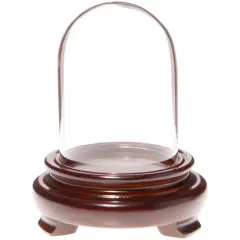 Plymor 1.85" x 2.875" Mini Glass Display Dome Cloche Walnut Wood Veneer