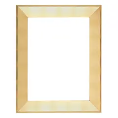 Expositions Open-Back Picture Frames For Paintings, Photos & Prints - With Gold, 20x24" - Gallery Wall Frame- Eco-Friendly Renewal Core -Made in USA