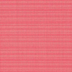 Punch - Pink Plain & Solid Upholstery Fabric 54 Inches"
