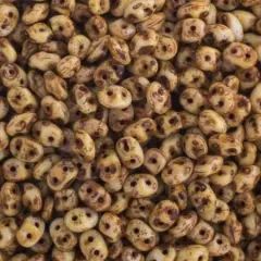 Matubo 2-Hole Czech Glass Travertine Dark Superduo Beads, 100g Chalk White