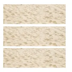 Real Beach Sand Edible Icing Image for Cake or Cupcake Cookie Topper