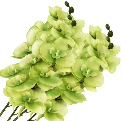 4 Pcs Silk Artificial Orchid Flowers Stem, 8 Heads Faux Phalaenopsis Flowers Branches 27.5'' Artificial Flowers Plants for Pots Vase Decor (Green)