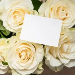 White Fold Over Tent Cards 3.5" x 2.25" 500 Box