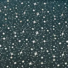 1 Yard Turquoise Silver Stars Organza Fabric For Costumes Crafts D&eacute;cor Accessories 58/60&Prime; Wide