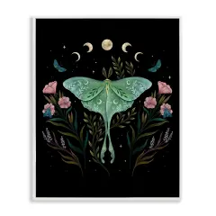 Stupell Industries Luna Moth with Florals Framed Giclee Design By Episodic Drawings