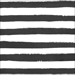 Premium Patterned Beverage Napkins, Dotted and Striped, Licorice - 24ct