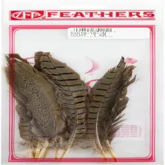 Zucker Ringneck Pheasant Tails 8"-10" 10/Pkg-Natural