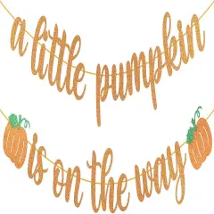 Pumpkin Baby Shower Decorations A Little Pumpkin is On the Way Banner