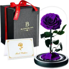 Preserved Flowers in Glass Dome