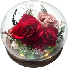 Preserved Flowers in Glass Dome, Long-Lasting Eternal Roses Birthday Gifts for Women Mom Grandma Wife Girlfriend Forever Flowers for Delivery Prime