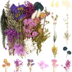 Dried Pressed Leaf Flowers-Multiple Colorful Pressed Flowers Daisies for Craft Resin Jewelry Making Art Craft DIY（Violet）