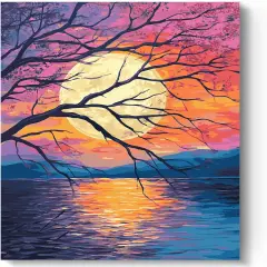 Paint by Number for Adults, Moon Easy Paint by Numbers Kits for Beginner, Adult Paint by Numbers on Canvas for Relax Gift Home Wall Decor 16x20in (Moonlit Night)