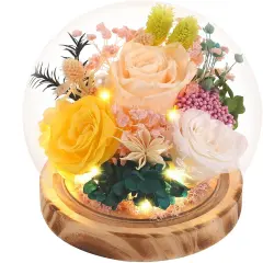 Preserved Flowers, Unique Rose flower Gifts Preserved Flower Gifts in Glass Dome for Women, Mom, Girlfriend and wife,Home Decor Gifts for Birthday, Mother&rsquo;s Day, Anniversary, Christmas, Wedding.