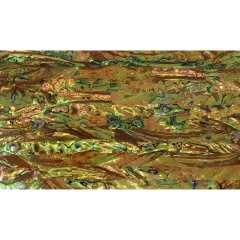 Shell Veneer, 5.5 x 9.5 inches | WMOP, BMOP, Abalone | Includes 3M Adhesive Sheet for Application, Great for Inlay Projects Tigers Eye