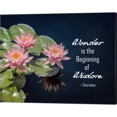 Wonder is the Beginning of Wisdom Water Lily Color by Quote Master 20" x 16" Canvas Wall Art