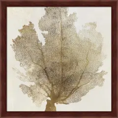 Gold Coral I by PI Galerie 13" x 13" Framed Wall Art