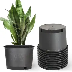 Squat Heavy Duty Premium Black Plastic Nursery Plant Container Garden Pot 2gal