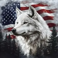 5D DIY American Flag and Wolf Diamond Painting Kits for Adults