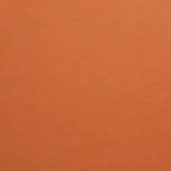 Colorplan RUST - 12" x 12" - 100 Lb. / 270 Gsm Matte Premium Cardstock Paper Cover Sheet - 100 Sheets